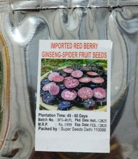 Imported Red Beery Ginseng-Spider Fruit Seeds