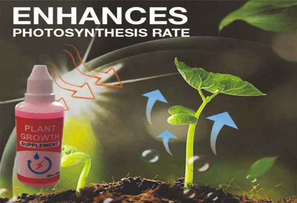 New Plant Growth Enhancer Supplement, Plant Grow Enhancer Supplement, Promotes Rooting, Rescue The Disease Seedlings