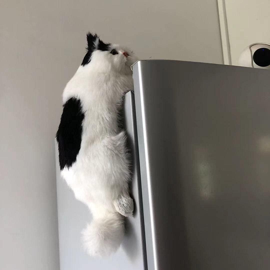 Hanging Cat Decoration Toy