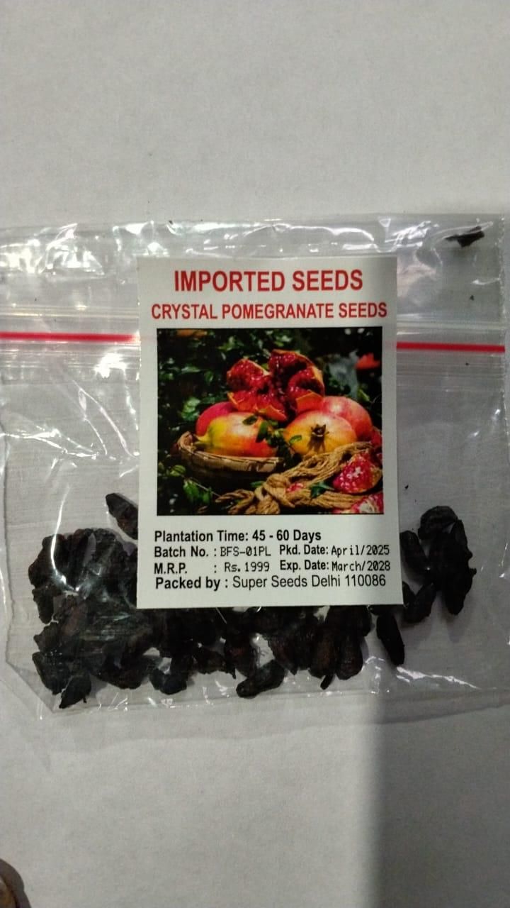 Pomegranate Seeds Pack of 2