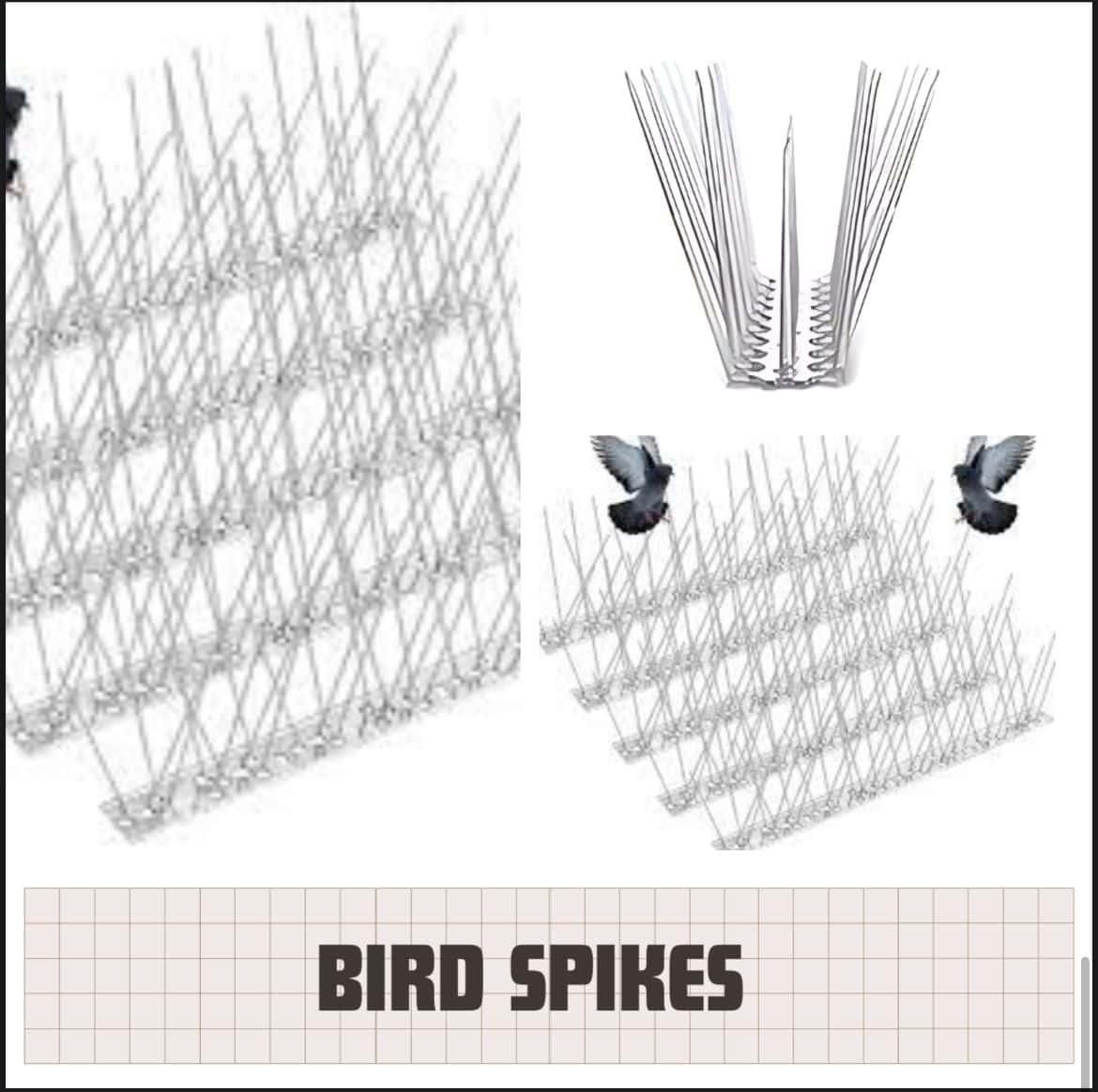 Bird Spikes Pack of 10