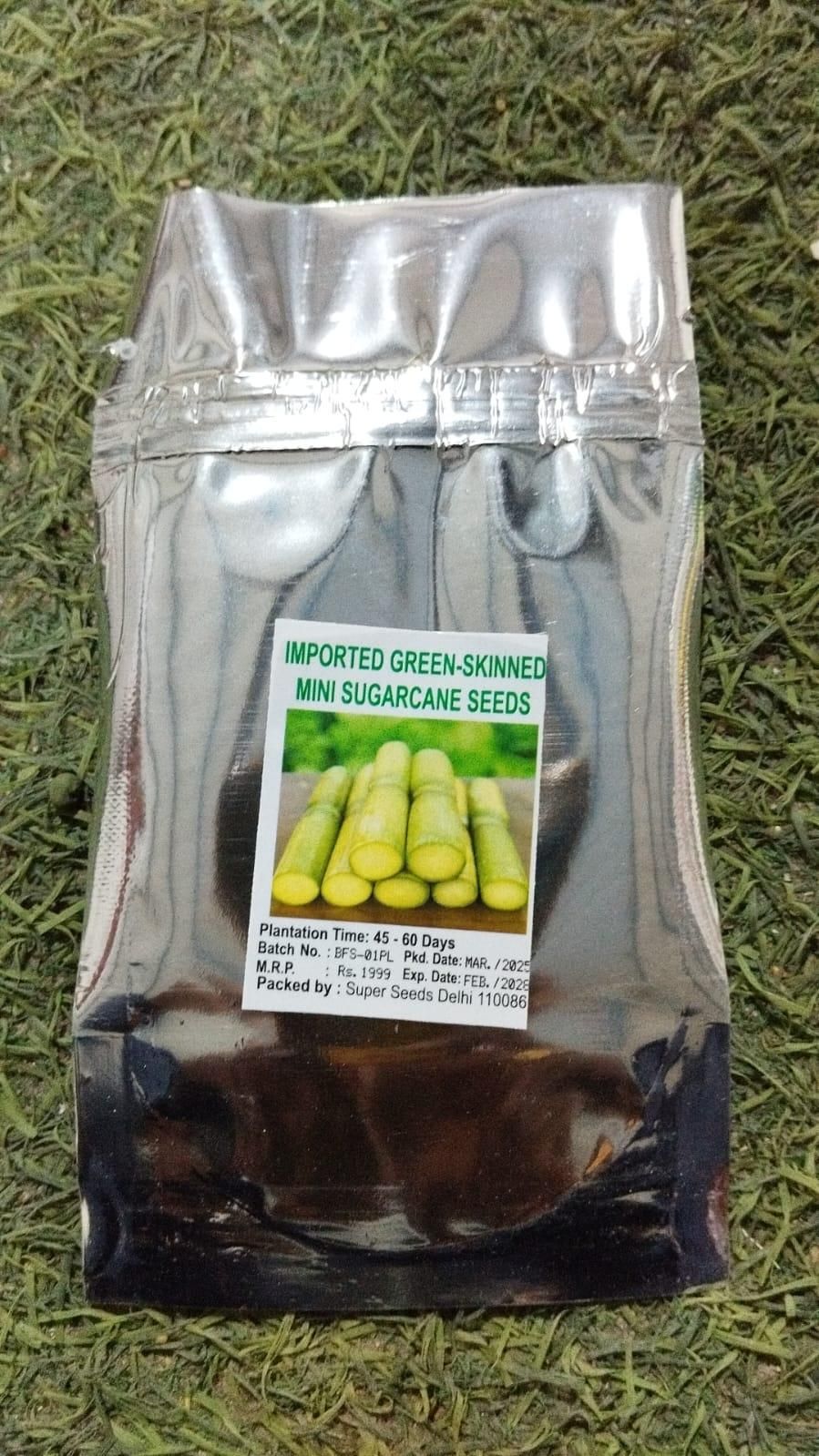 Green-Skinned Mini Sugarcane Seeds