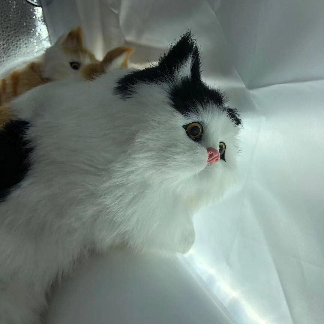 Hanging Cat Decoration Toy